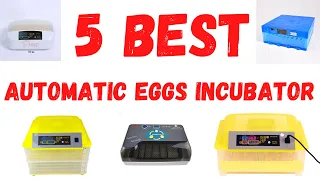 Top 5 best chicken hatching eggs incubator