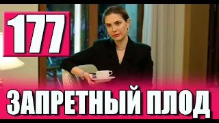 ЗАПРЕТНЫЙ ПЛОД 177 СЕРИЯ РУССКАЯ ОЗВУЧКА. Анонс и дата выхода