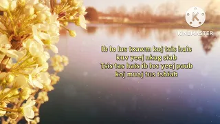 Neej Khuam Siab - Lily Vaj (lyrics)