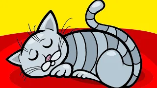 Why Cats Love Sleeping On Your Bed!