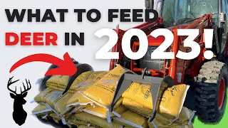 What To Feed Deer In 2023!