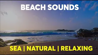 Beach Sounds | Natural Relaxing Sounds HD | Sea Sound