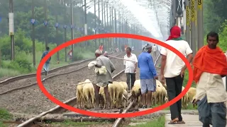 This is why animals accident happen in India !! Sheep grazing on track & sudden train comes