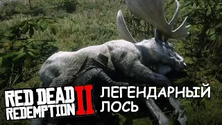 Red redemption 2 выследил легендарного Лося