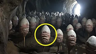 Teenagers Were Shocked To Find This Inside An Ancient Cave