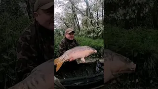 "Carpfishing" Фотосессия с зеркальным красивым карпом!