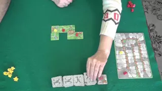 Каркассон-играем в настольную игру, board game Carcassonne