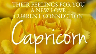 CAPRICORN love tarot ♑️ Someone Who Does Not Want Anyone But You Capricorn 🫠 It’s Crucial