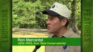 Wetland Reserve Program celebrates it's 200,000th Acre enlisted in La. (2005)