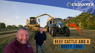 Beef Cattle & Beefy 7060