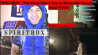 33 Year Old American Reacts to Spiritbox - The Mara Effect live at Silverside Sound *This is so Good