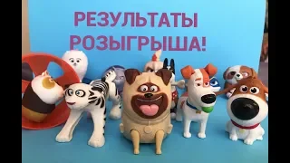 РЕЗУЛЬТАТЫ РОЗЫГРЫША! Тайная жизнь домашних животных 2