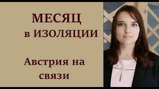 Коронавирус в Австрии. Большое подробное видео