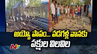 అయ్యో పాపం... వడగళ్ల వానకు పక్షుల విలవిల | Atmakur, Nandyal | Ntv