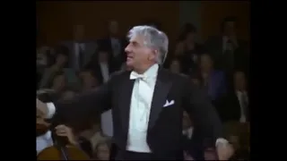 Beethoven: Symphony No. 5 (Excerpt) | Vienna Philharmonic/Leonard Bernstein