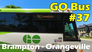 4K GO Bus 37 Ride From Brampton Bus Terminal To Orangeville Downtown (Duration 54min)