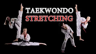 TAEKWONDO STRETCHING.