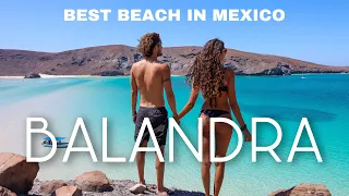 MEXICO'S MOST BEAUTIFUL BEACH! 🇲🇽 BALANDRA (LA PAZ)