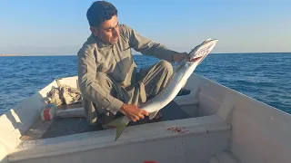 Amazing Trolling Caught The Big Barracuda |صید ماهی به روش ترولینگ