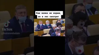 Как волка не корми, он в лес смотрит!