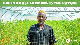 Greenhouse in Somaliland - Sanag region