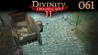 Divinity 2 #061 Verirrte Seelen im Sumpf ⚔️ Let's Play Divinity Original Sin 2 Deutsch