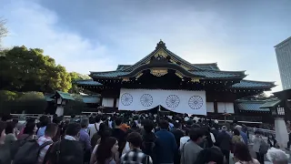 Japan Walk Sakura Yasukuni Shrine 2024.04.07 Cherry Blossom Ambience Tokyo People Tour 桜 花見 靖国神社