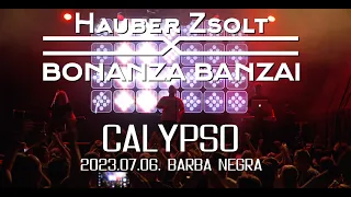 Hauber Zsolt X Bonanza Banzai - Calypso I Live I Barba Negra I 2023.07.06 I Music video
