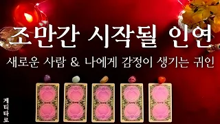 [타로] 나에게 행운을 가지고 들어오는 사람 💖 연애운 & 귀인운