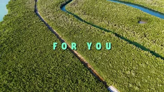 Robert Wayne - FOR YOU (Official Lyric Video)