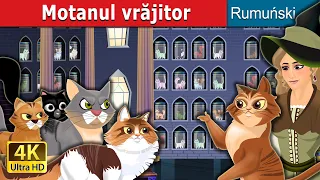 Motanul vrăjitor | Cat Witch in Romanian | @RomanianFairyTales
