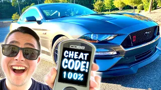 PUSHING My Mustang To The LIMIT On 93 Octane! - PD Tuning 0-60 Runs!