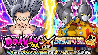 LR GOHAN BEAST + LR GAMMA 1 & 2 9TH ANNIVERSARY SUMMONS (MAIN) Dragon Ball Z Dokkan Battle