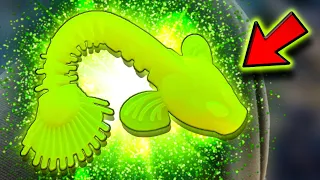 WILL FISH EAT A NEON GLOWING LURE?! - MYTH-BUSTING | Team Galant