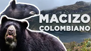 MACIZO COLOMBIANO  Lagunas Magdalena, Suramerica y Santiago - Mundos del Magdalena. Ep 02