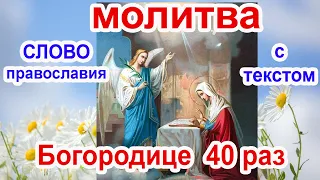 Молитва Богородице Дево радуйся  40 раз Благовещение Пресвятой Богородицы аудио молитва с текстом