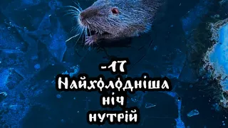 -17 найхолодніша ніч нутрій, всі тримаються, ми допомагаємо | Жителі Оствиці