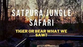 Satpura National Park |The Jungle Safari #nationalparkindia #satpuratigerreserve #mptourism