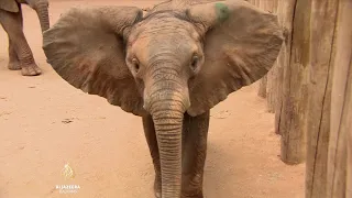 Suša u Africi dovodi do bitke za resurse ljudi i divljih životinja