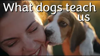 WHAT DOGS TEACH US