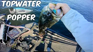 California Delta Bass Fishing.(TOP WATER FUN)