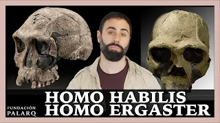 🔹 HOMO HABILIS y HOMO ERGASTER | Las principales especies de homininos y etapas de la prehistoria
