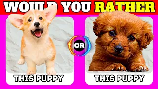Would You Rather...? Animals Edition 🐶😺 Quiz Time
