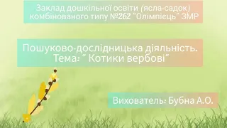 Пошуково-дослідницька діяльність. Тема: "Котики вербові"