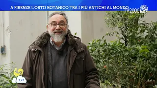 Firenze, il “Giardino dei Semplici”: il terzo Orto botanico più antico al mondo