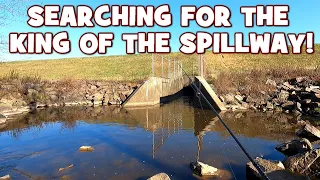 Attempting to Catch the KING OF THE SPILLWAY...!!!