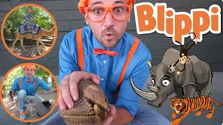 Blippi | Blippi Visits a Zoo (Phoenix Zoo) + MORE ! | Songs for Kids |  Educational Videos for Kids