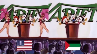 Arabic Censorship of Animaniacs