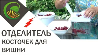 Отделитель косточек вишни