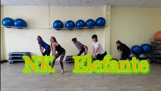 NK - ELEFANTE zumba 2020 RealFit